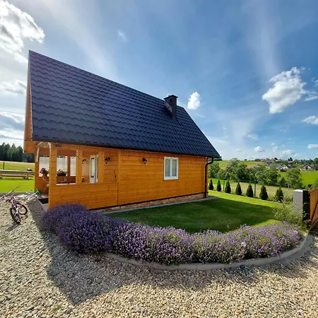 Holiday home W Skawie *